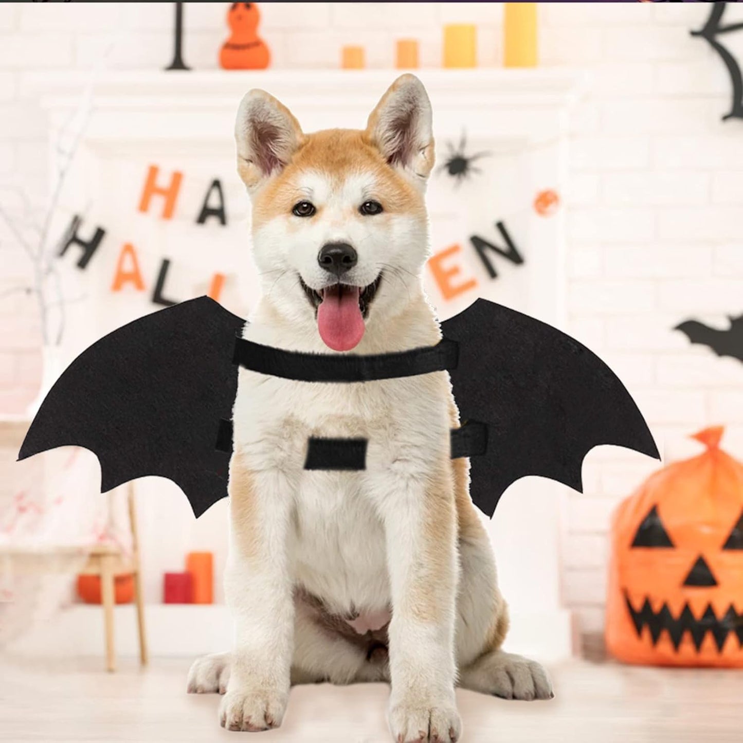 Dog Halloween Costumes, Cool Luminous Skeleton Bone Bat Wings Cosplay Cat Pets Costumes Dress up Apparel Accessories for Kitten Puppies
