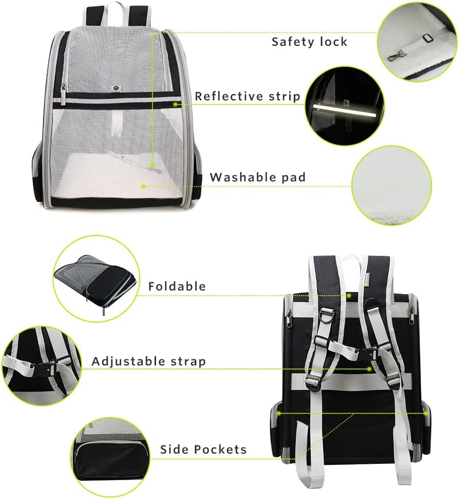 Pet Backpack Carrier for Small Cats Dogs | Ventilated Design, Safety Straps, Buckle Support, Collapsible | Designed for Travel, Hiking, Walking & Outdoor Use